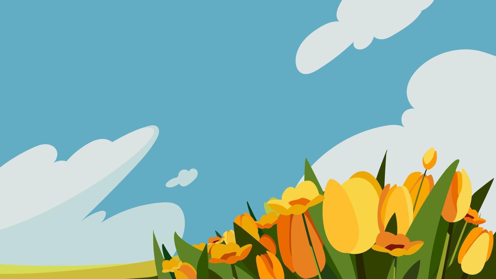 Yellow flowers on the meadow. vector