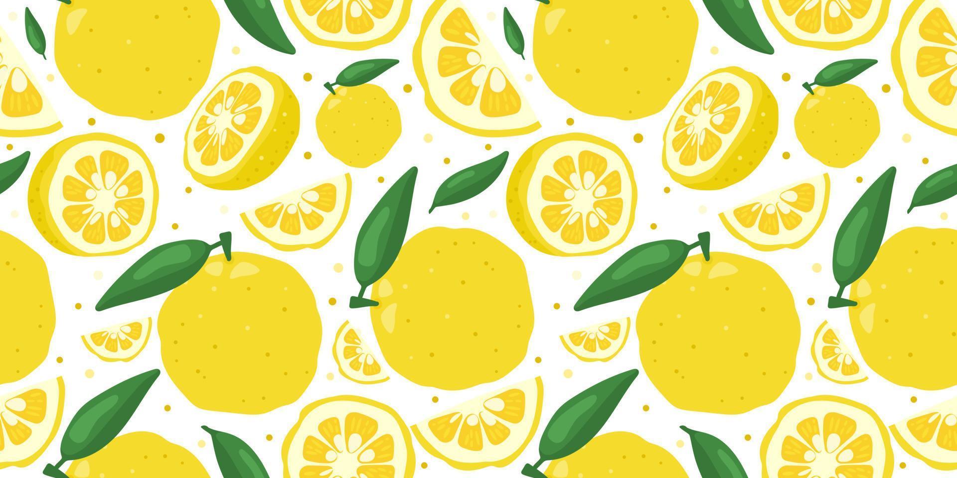 Yuzu japanese citron fruit seamless pattern vector illustration isolated on white background.