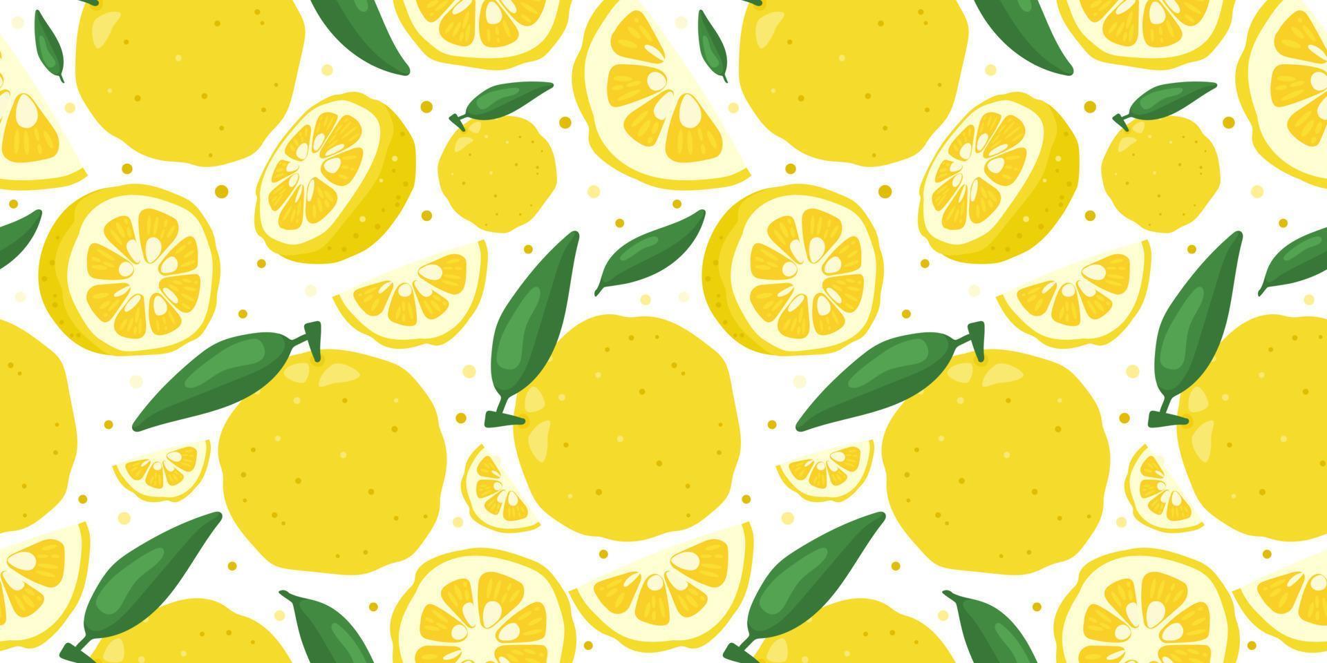 Yuzu japanese citron fruit seamless pattern vector illustration isolated on white background.