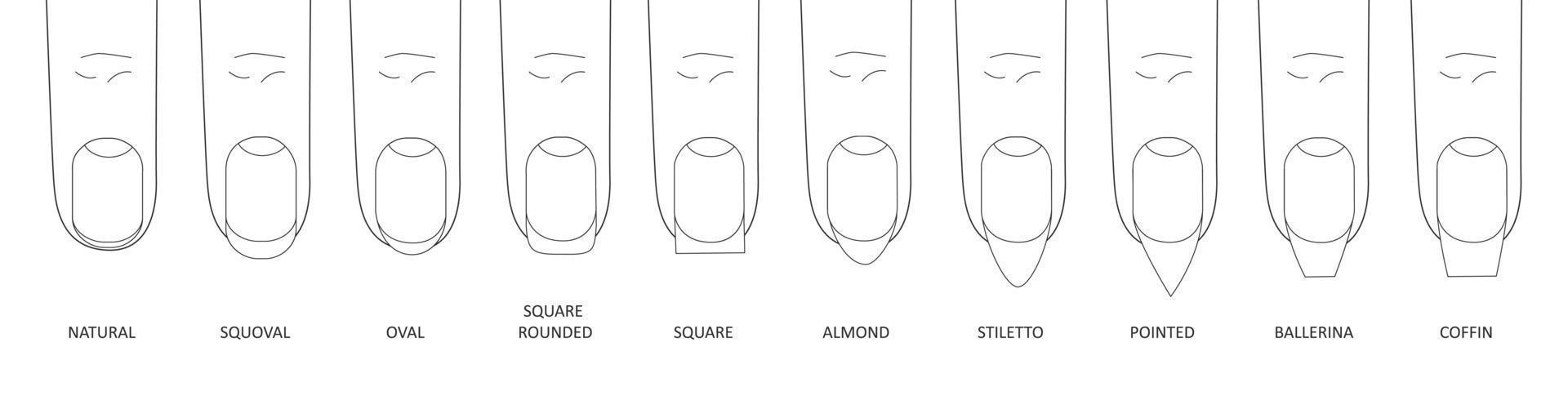 Manicure most popular fashion nail shapes flat style vector illustration set