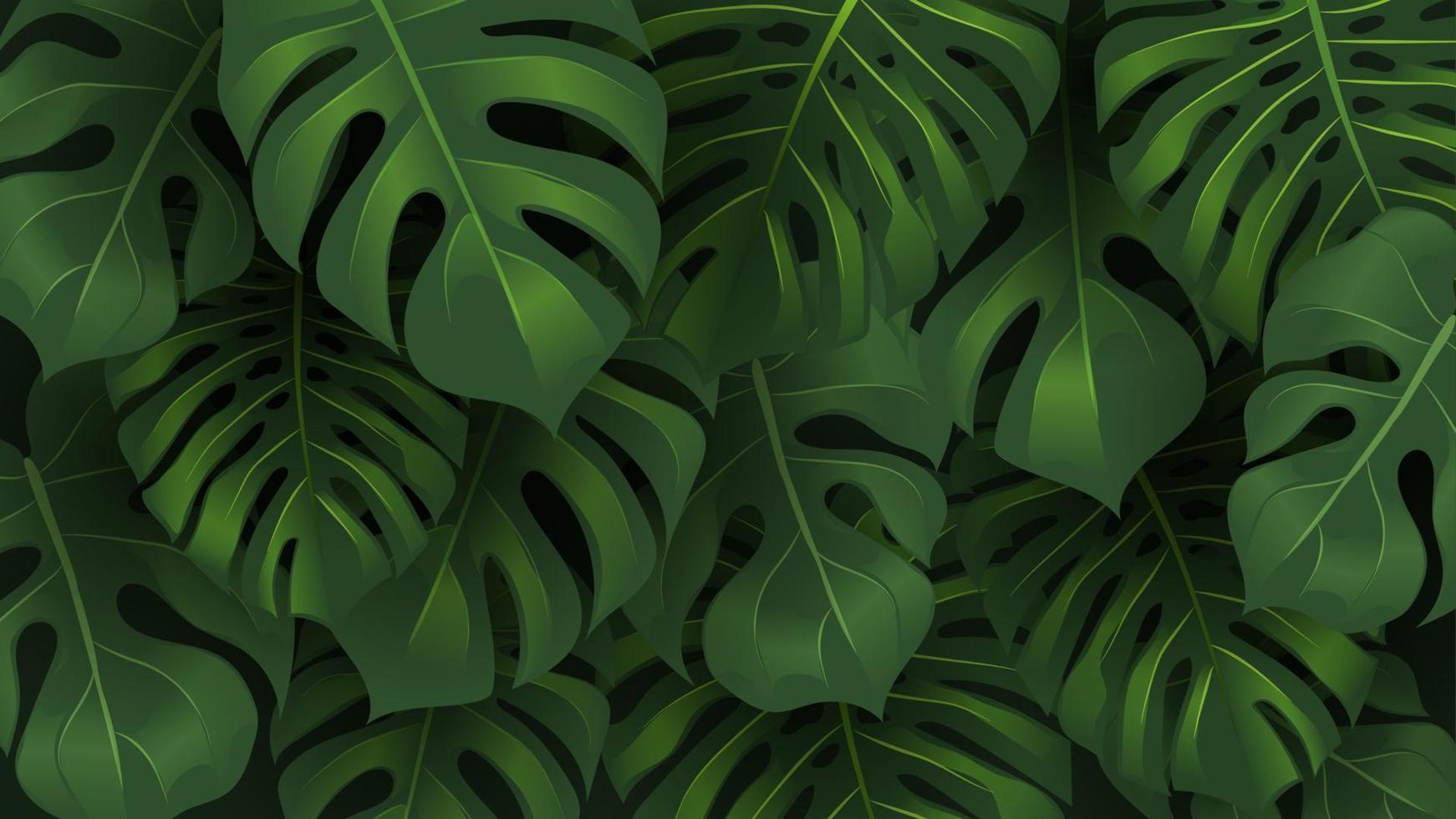 fondo de hojas de monstera de la selva tropical. vector