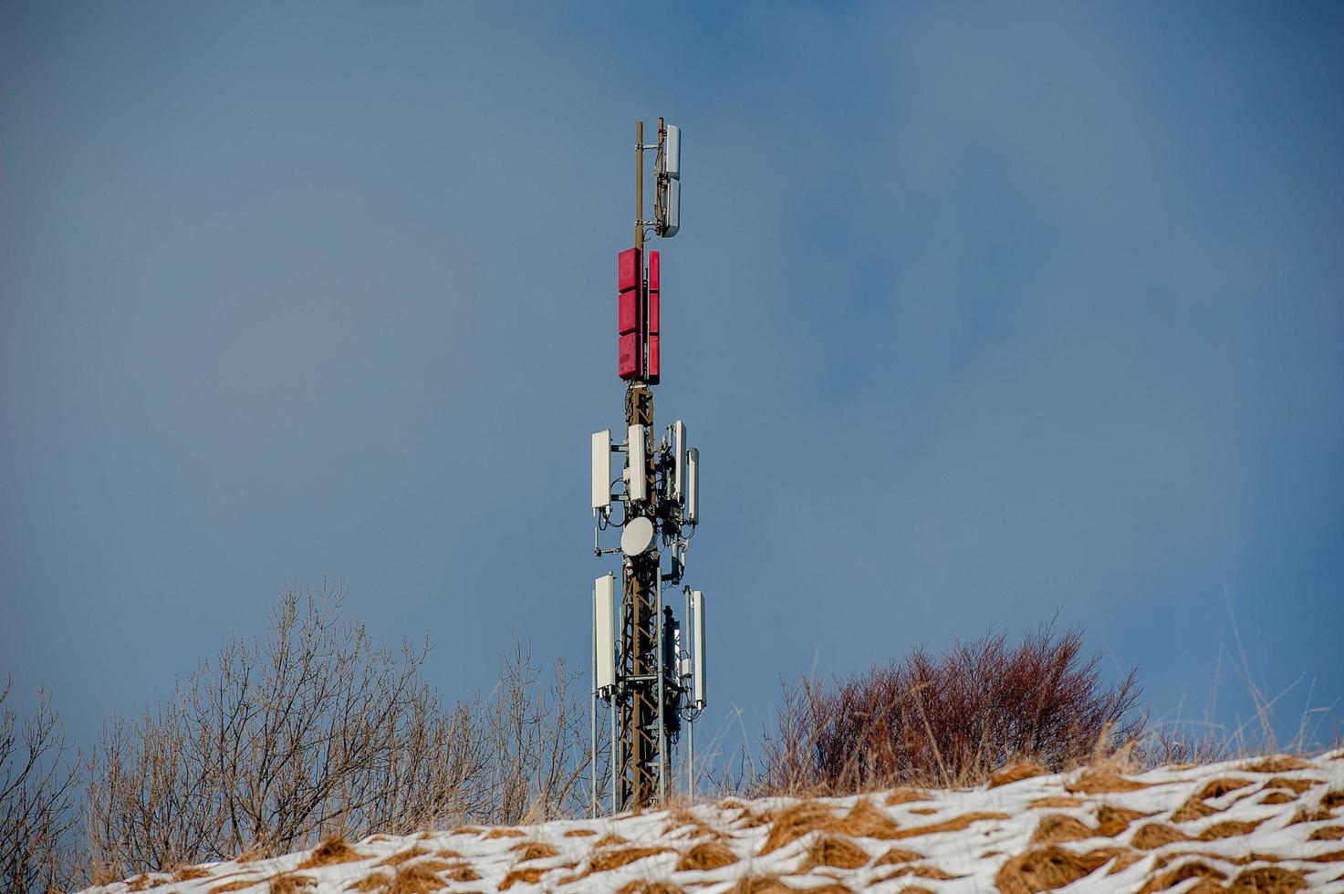 Pole for support of telephone repeaters photo