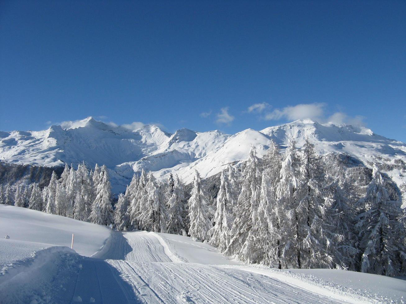 paisaje encantado después de fuertes nevadas foto