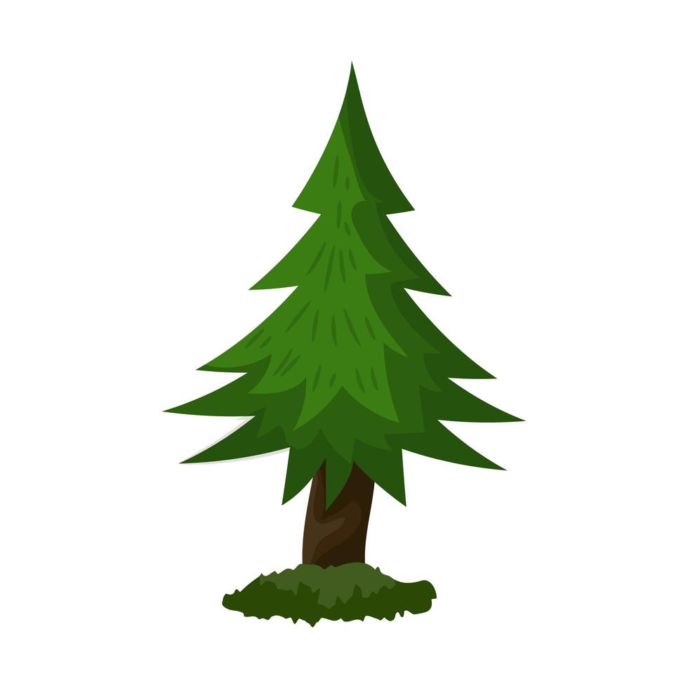 Realistic dense green spruce isolated on white background - Vector