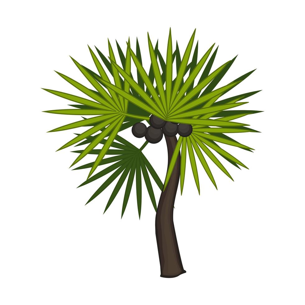 Realistic green palm isolated on white background - Vector