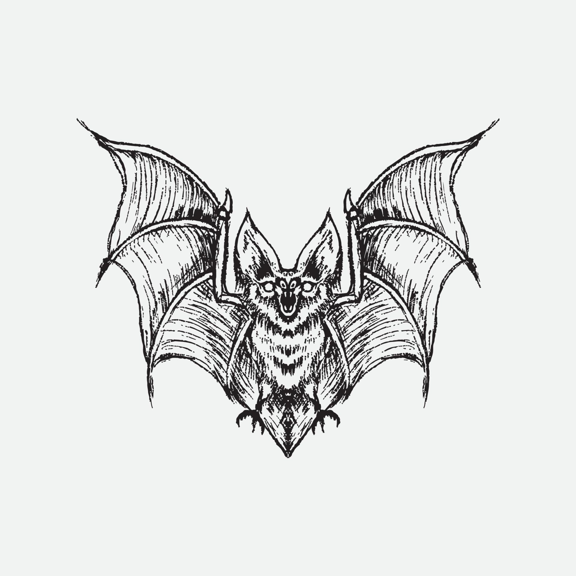 Bat drawing vector illustration, 5893867 Vector Art at Vecteezy