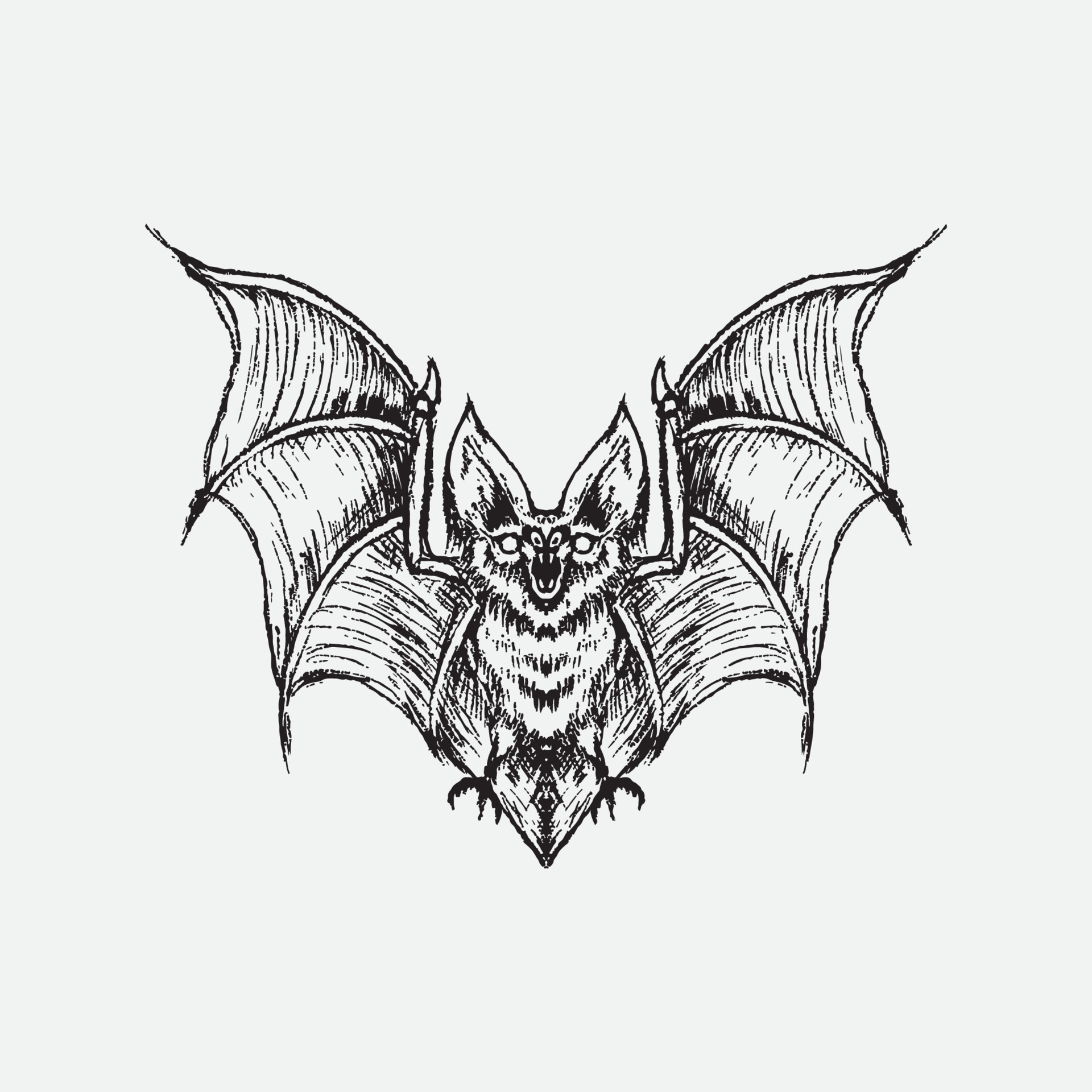 Free Vector  Hand draw bat sketch design