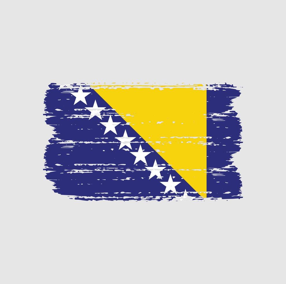 Flag of Bosnia Herzegovina with brush style vector