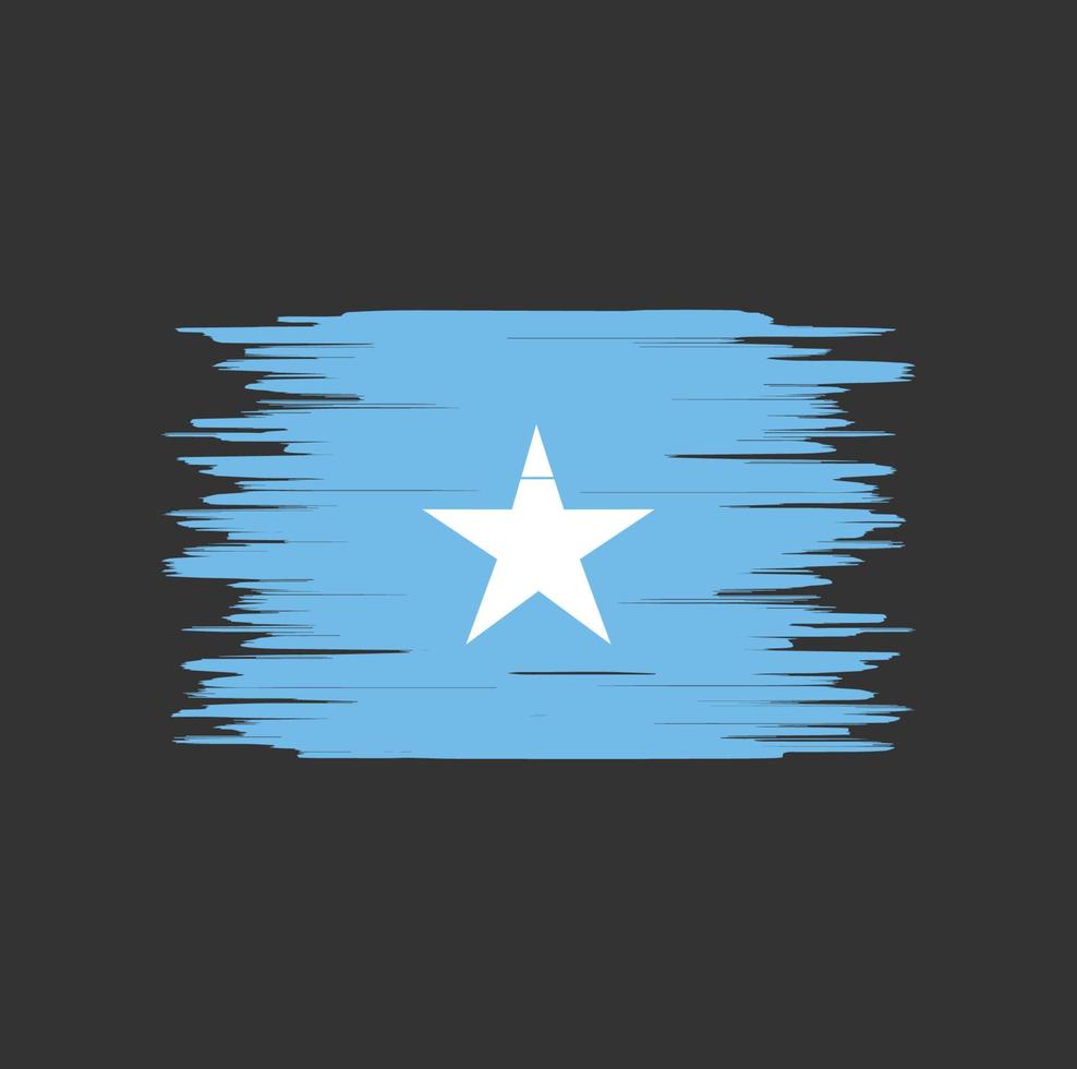 Somalia flag brush stroke, national flag vector