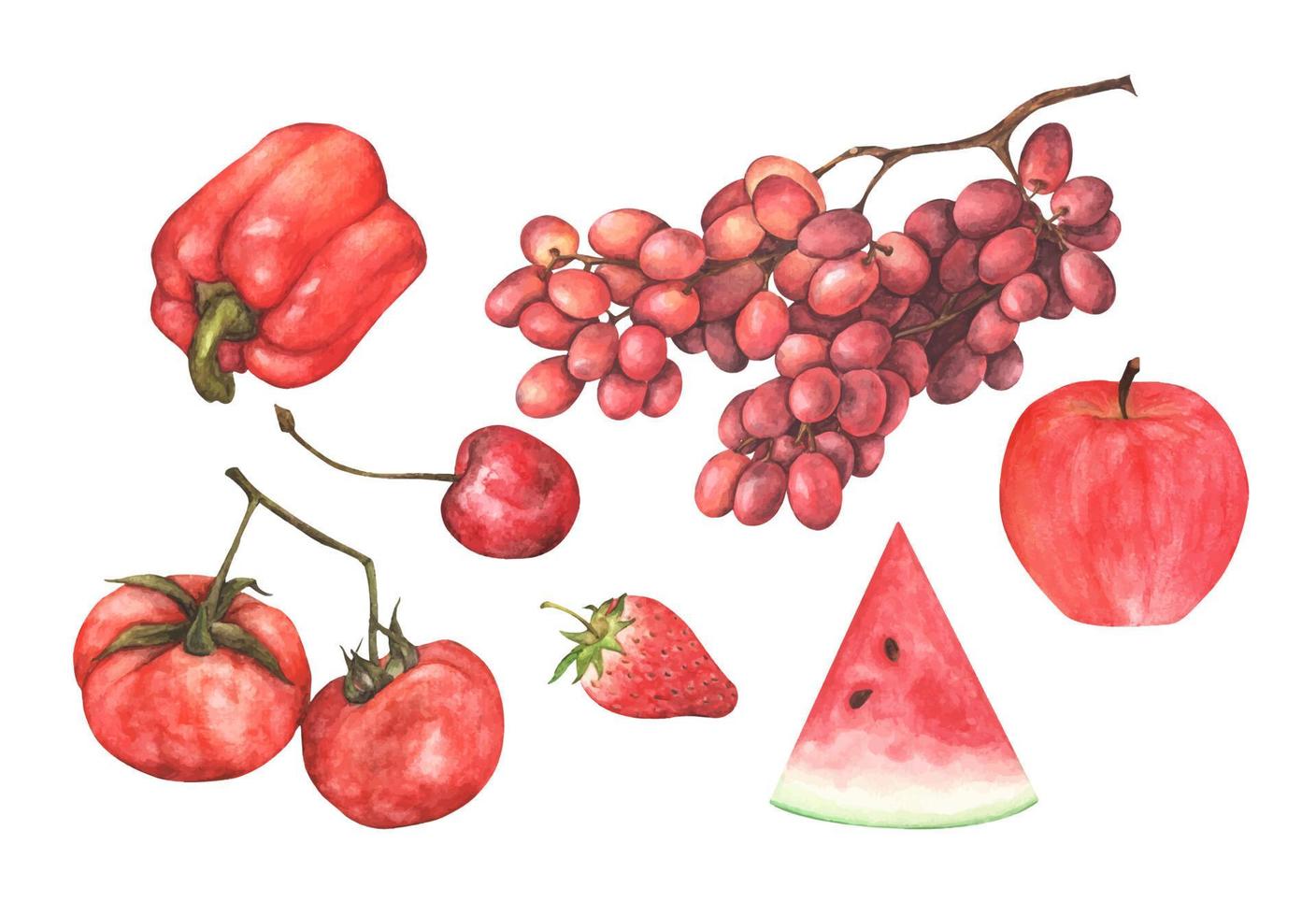 Red vegetables and fruit set. Watercolor illustration. vector
