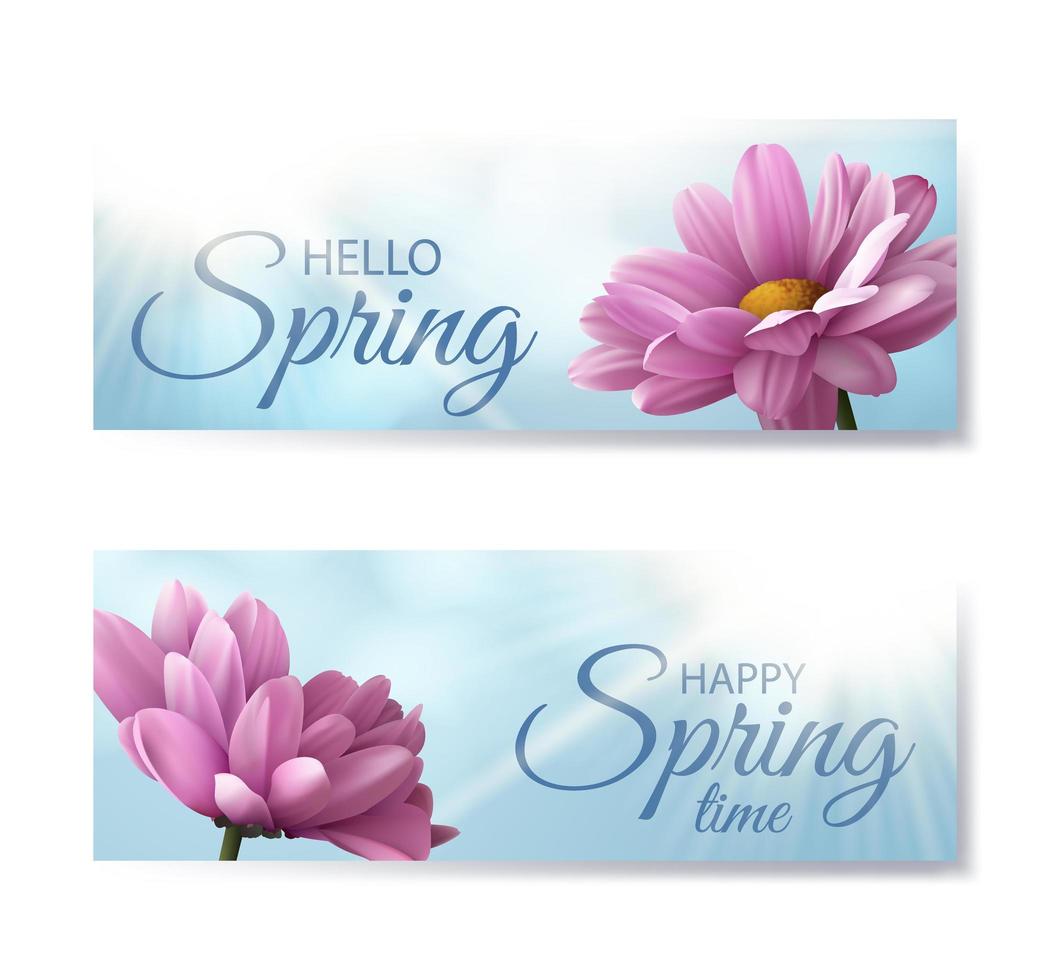 Set of banners Hello spring with realistic pink chrysanthemum flowers on blue background. Vector illustration.