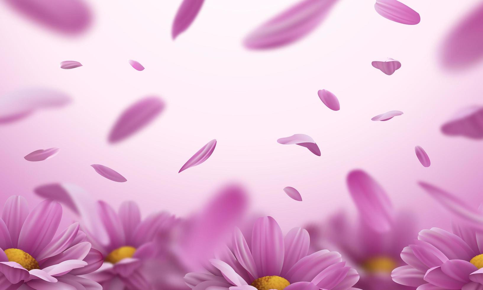 3d background with realistic pink chrysanthemum flowers and falling petals. Vector illustration