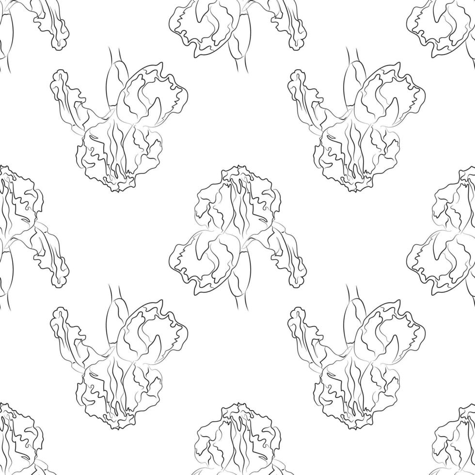 Botanical Floral pattern. Floral background. Large flowers. Graphic line drawing. Seamless pattern. vector