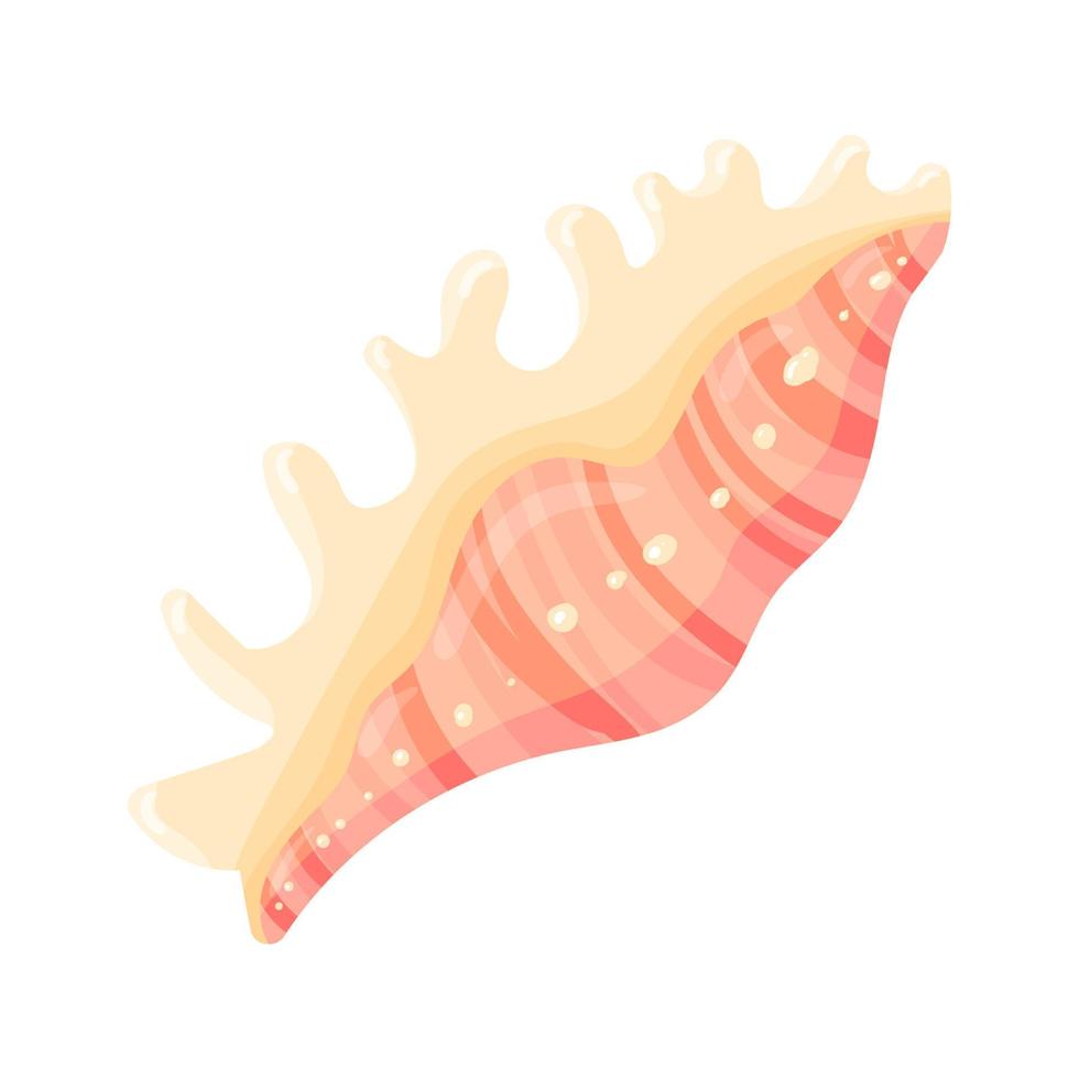 Conch flat cartoon vector Illustration isolated on white background. Colorful tropical beach shell underwater icon. Aquatic nature.