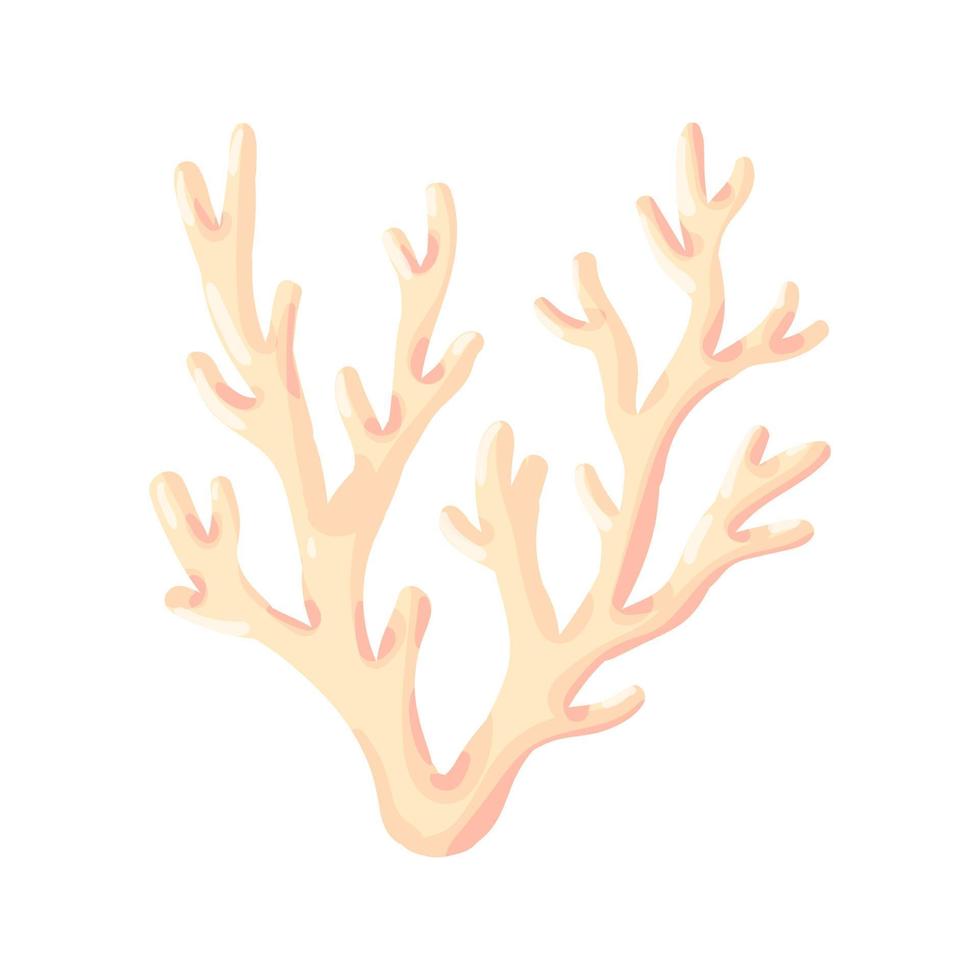Coral, polyp vector underwater plant. Aquarium, ocean and undersea life isolated on white background. Aquarium fauna and ocean reef habitat in a simple cartoon style.
