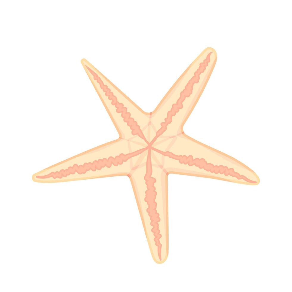 Hand drawn Starfish in a flat cartoon style. Marine icon. Summer nature ocean aquatic underwater vector illustration for graphic design, web site.