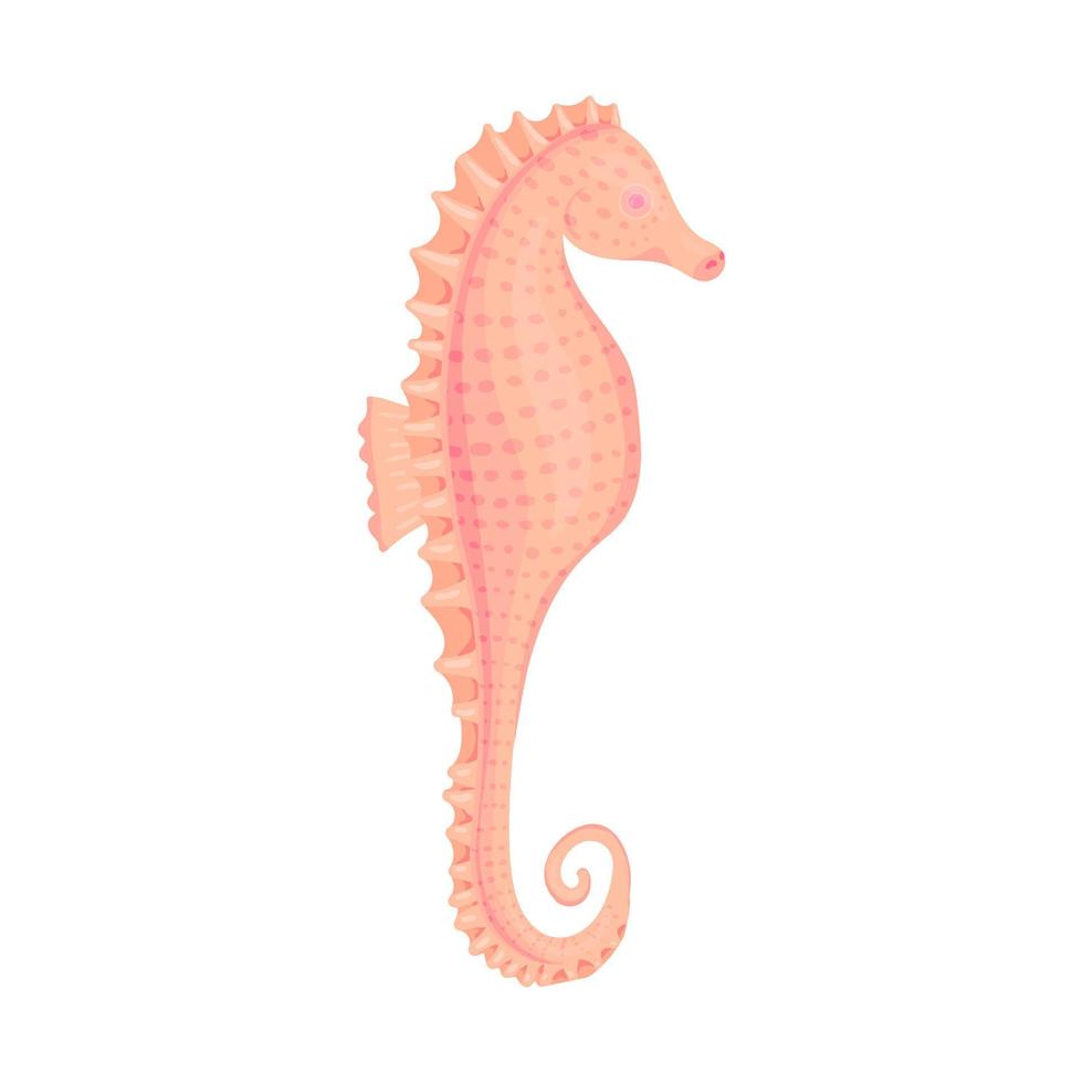 Cartoon orange Seahorse isolated on white background. Tropical fish card, invitation. Concept for Aquarium, Swimming Lessons, Diving courses, Eco Tourism. Vector illustration. Element for your design