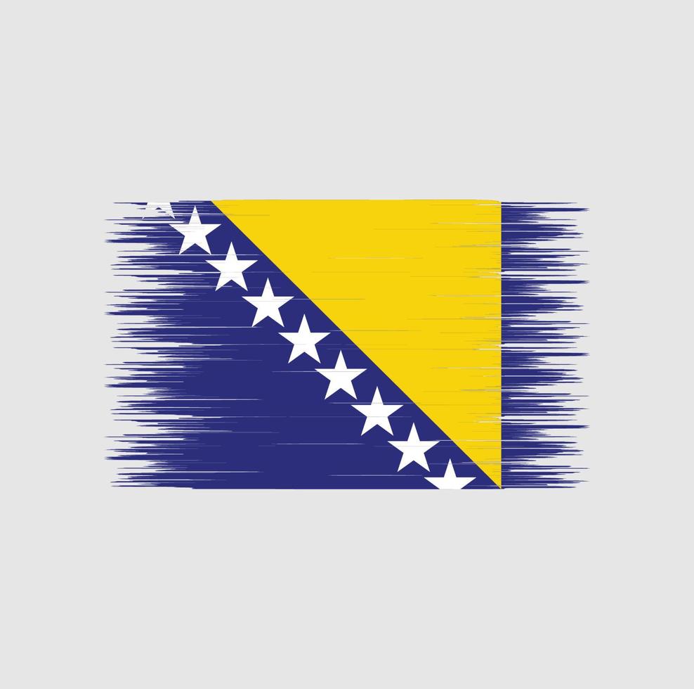 Bosnia Herzegovina flag brush stroke, national flag vector