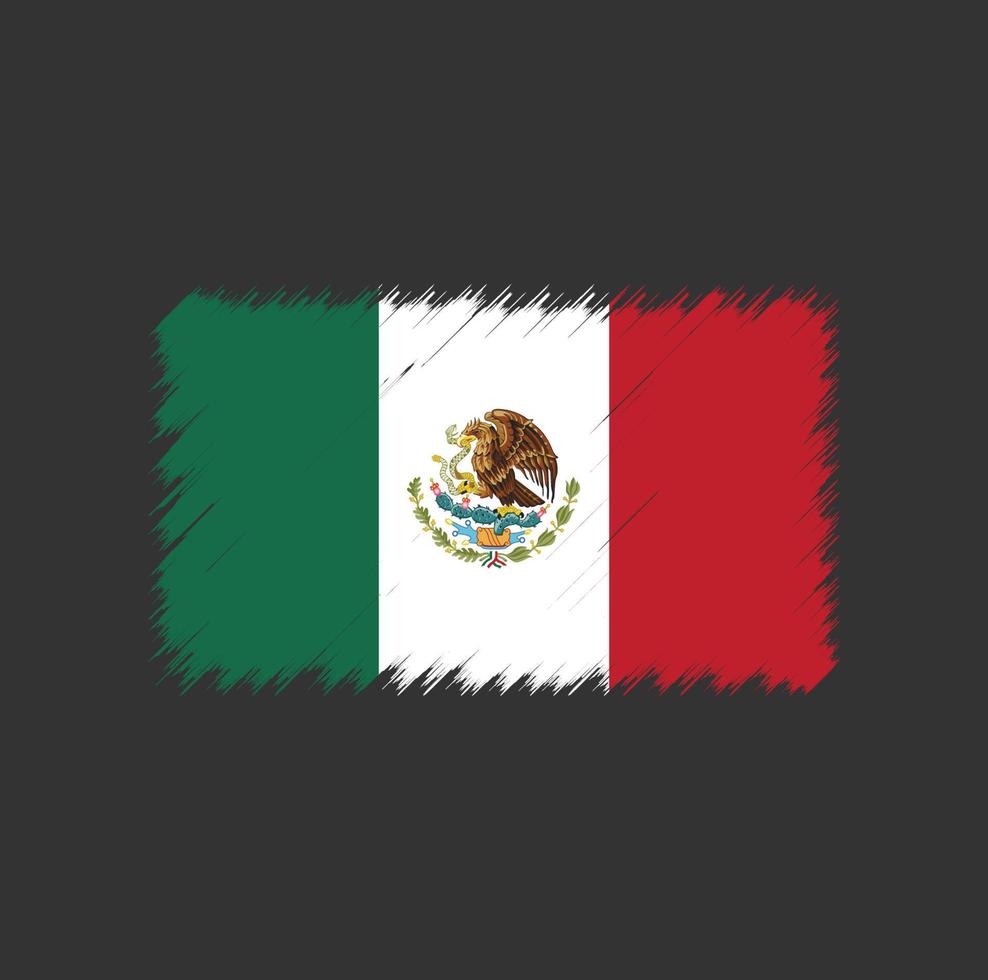 Mexico flag brush stroke vector