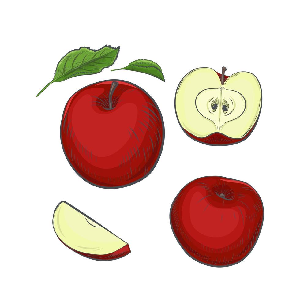 ilustración de vector de boceto de fruta de manzana.