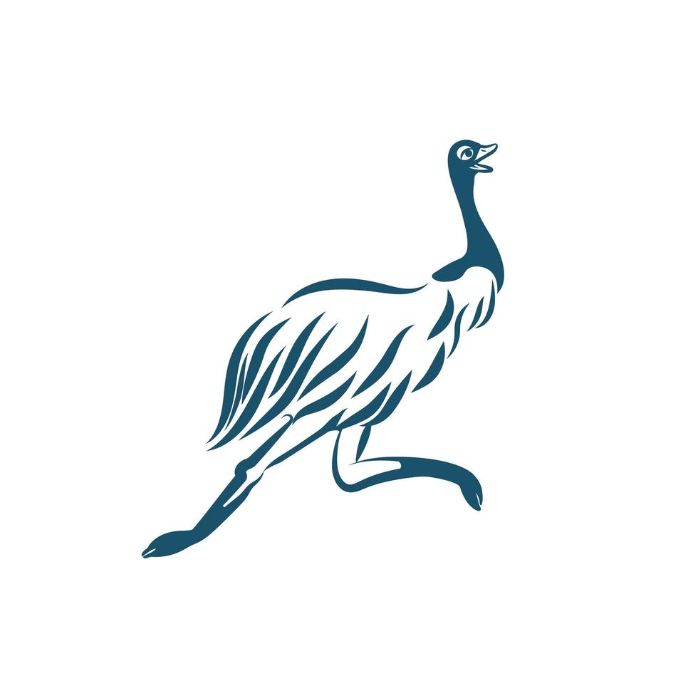 pájaro emú estilizado corriendo sobre fondo blanco. vector