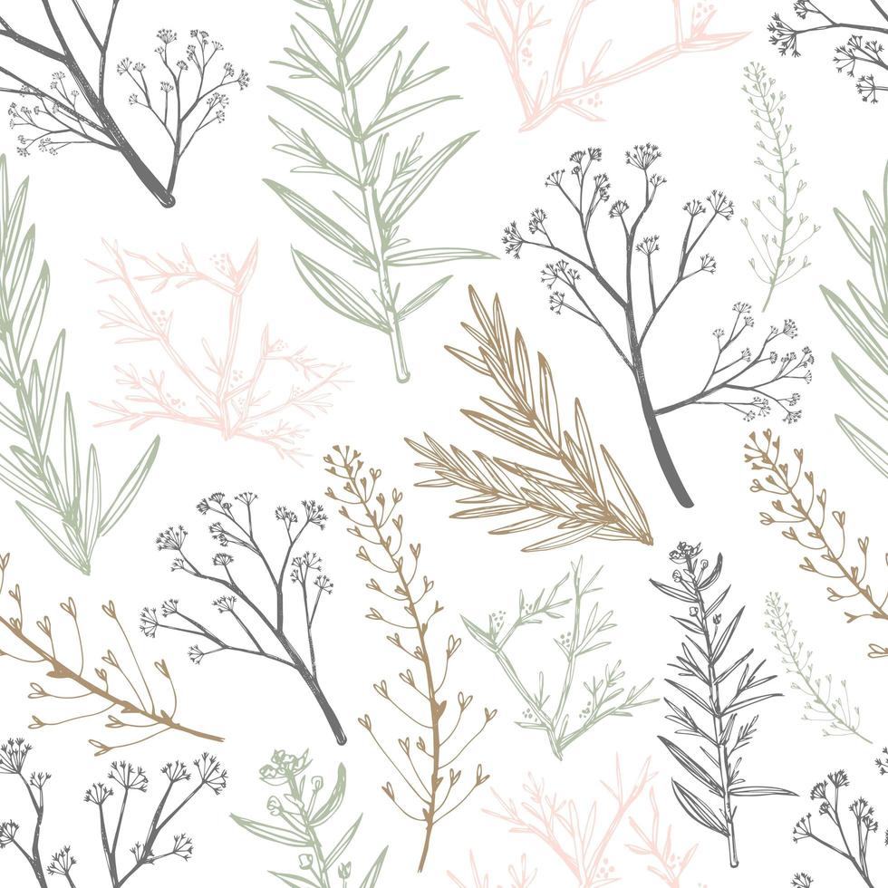 Botanical herbal seamless pattern. vector
