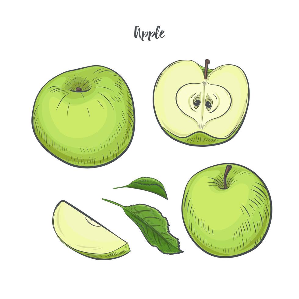 ilustración de vector de boceto de fruta de manzana.