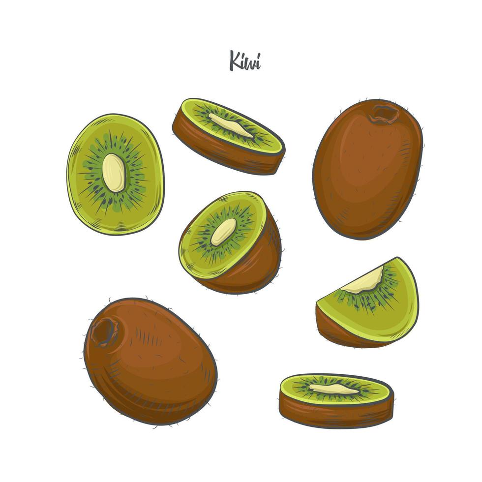 Ilustración de vector de dibujo de kiwi.