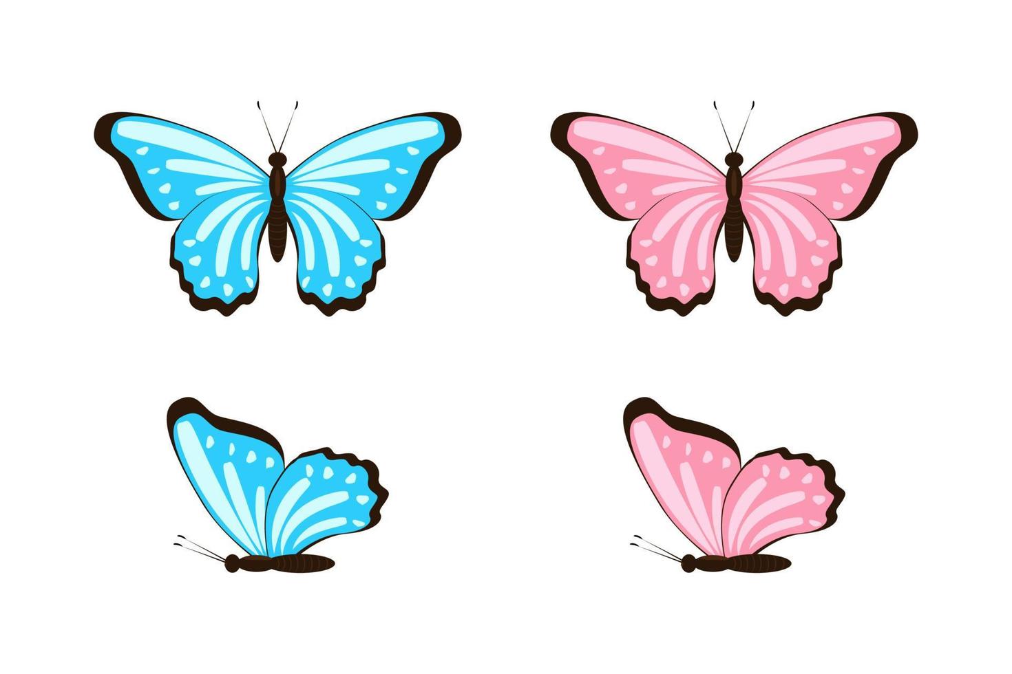 Blue and pink butterflies top and side view flat set vector