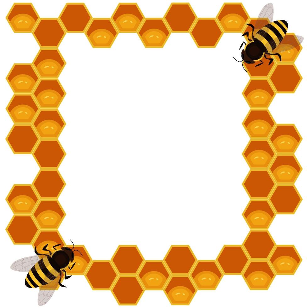 Honeycomb frame with bees vector
