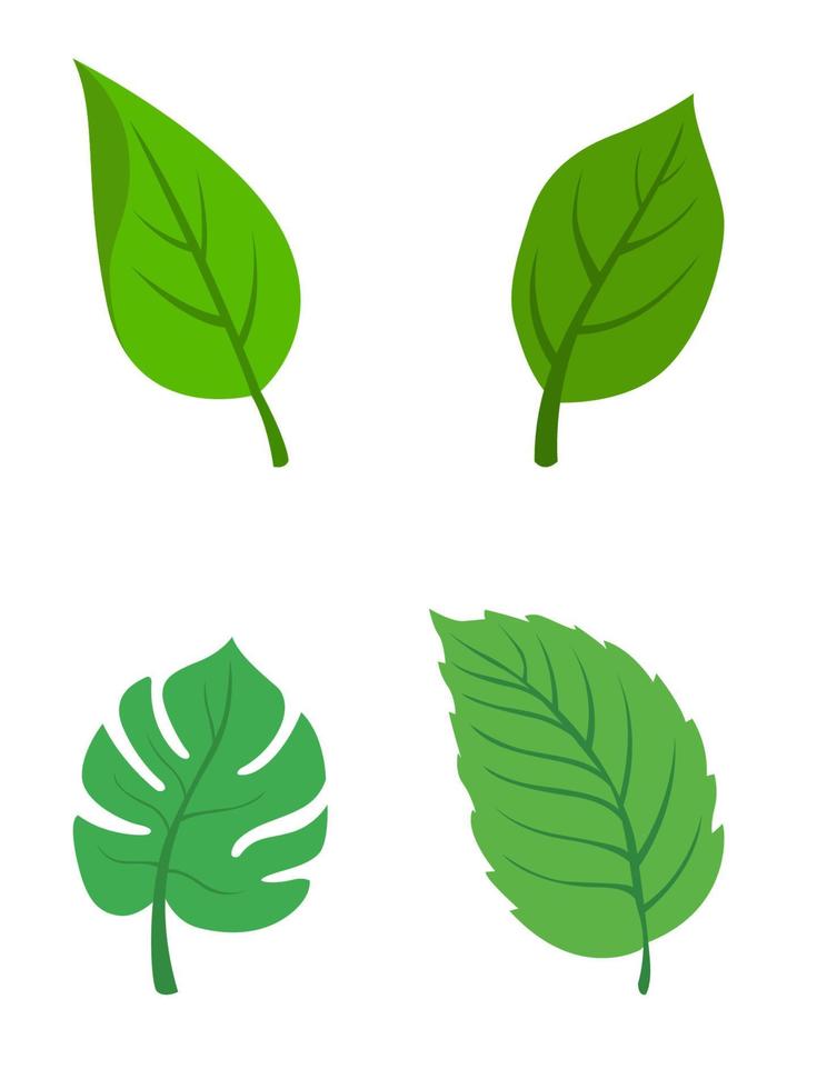 Leaf vector clip art design