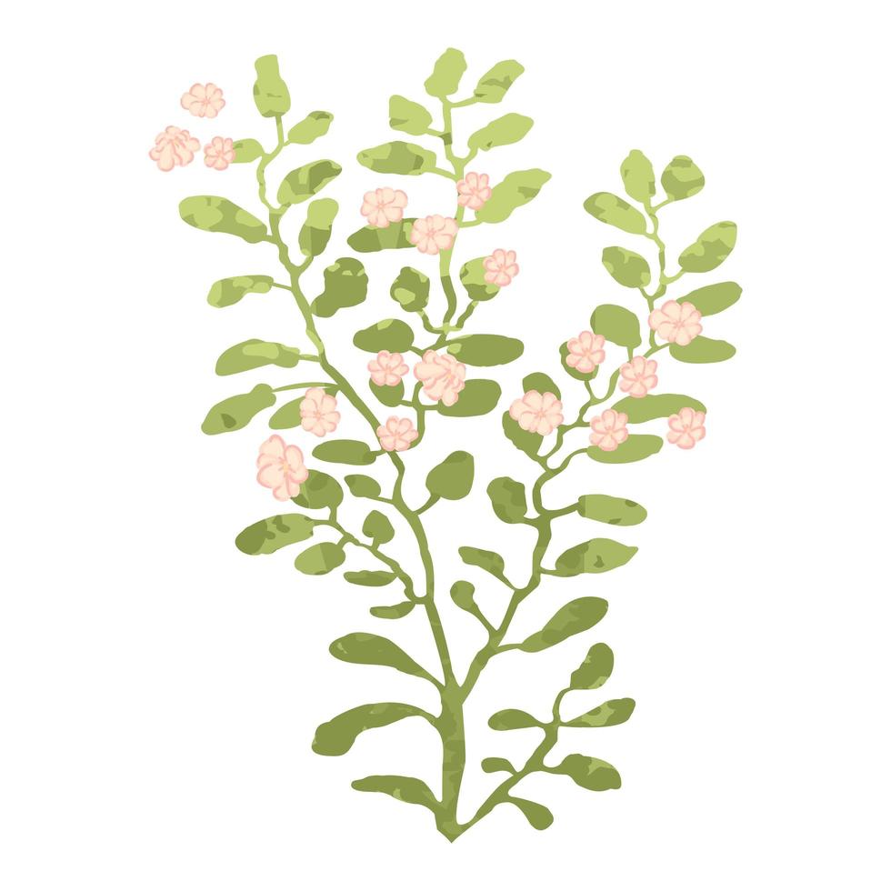 Plant Colorful Illustration vector