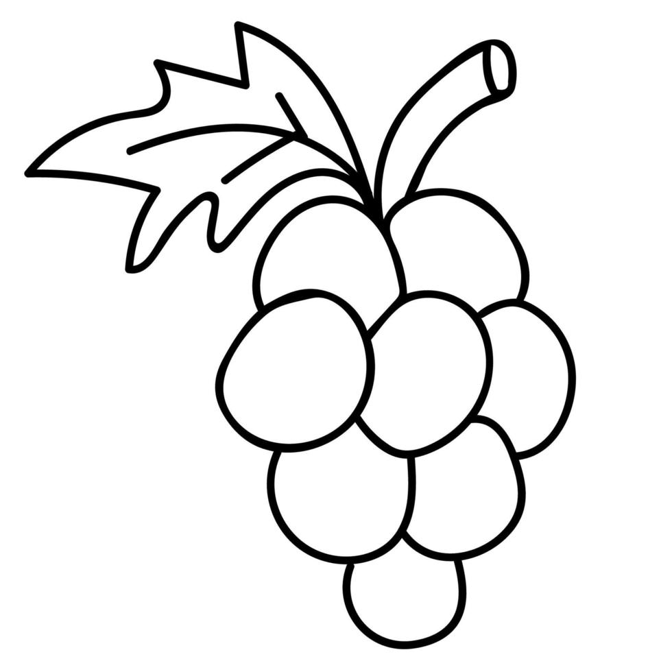dibujos animados doodle uvas lineales aisladas sobre fondo blanco. vector
