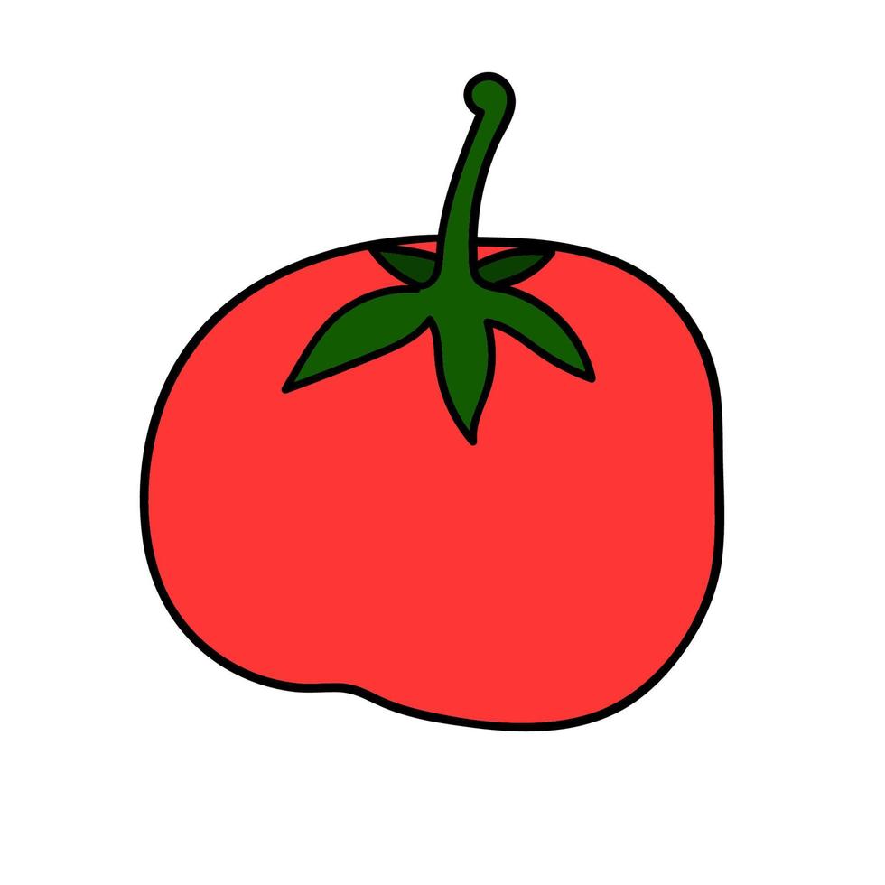 caricatura, garabato, lineal, tomate, aislado, blanco, fondo. vector