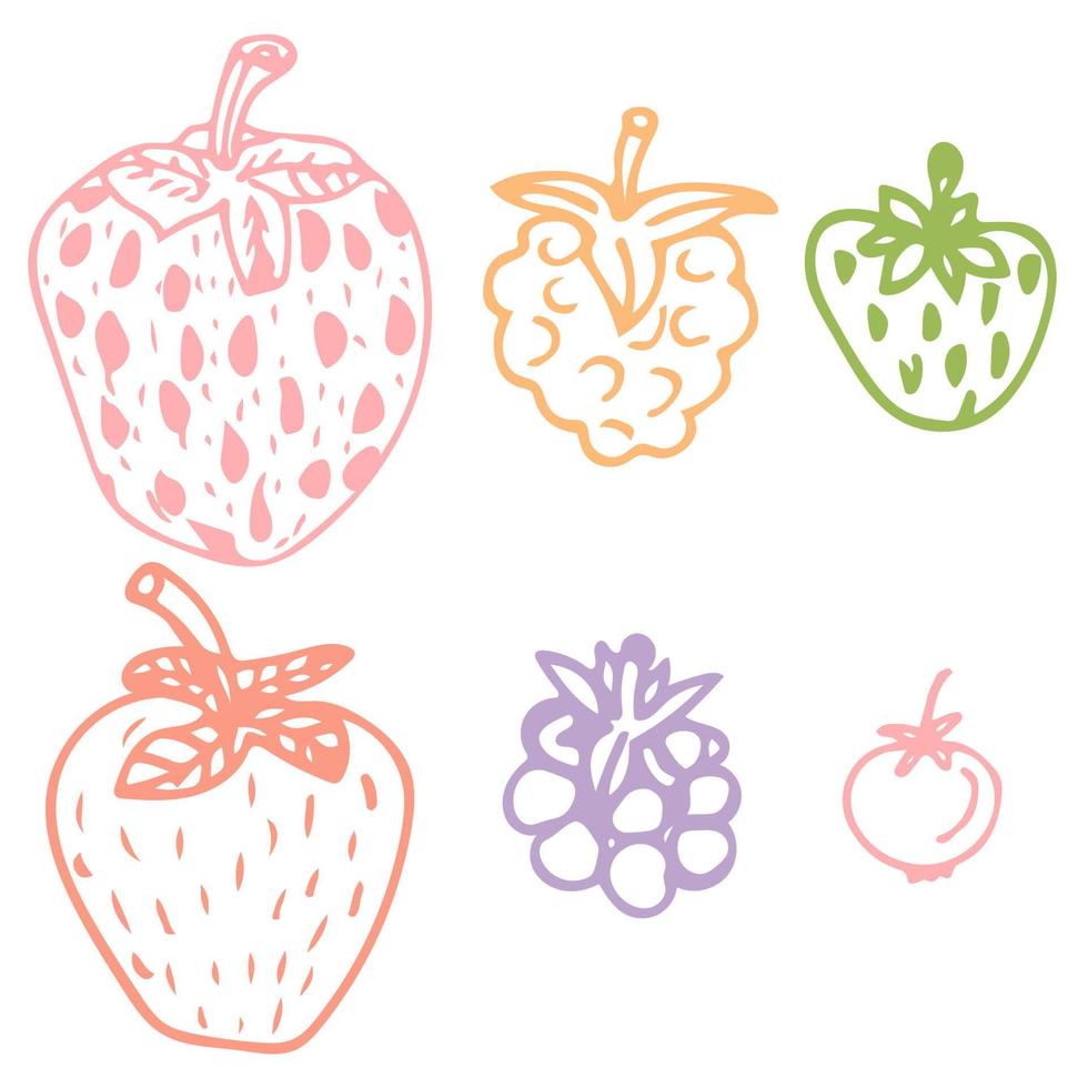 Cute hand drawn berry set. Sketch of strawberry, raspberries, foxberry, blackberry on isolated on white background. vector