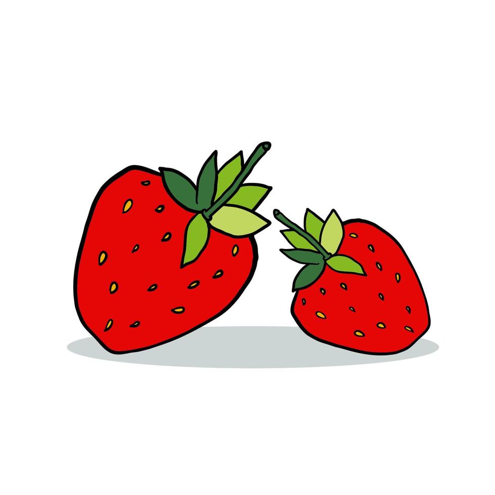 Cartoon strawberry with shadow isolated on white background. vector