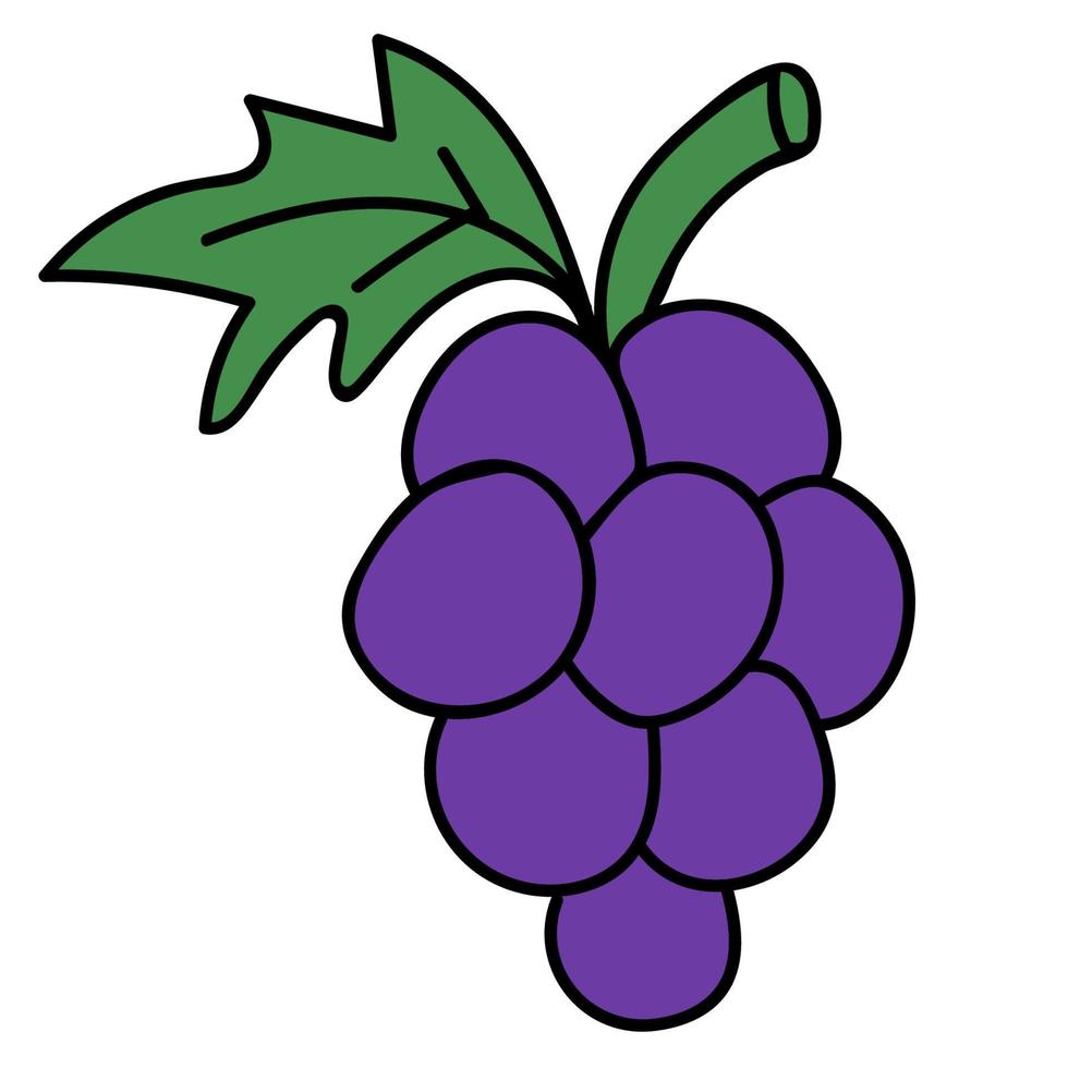 dibujos animados doodle uvas lineales aisladas sobre fondo blanco. 5898159 Vector en Vecteezy dibujos animados doodle uvas lineales aisladas sobre fondo blanco. 5898159 Vector en Vecteezy