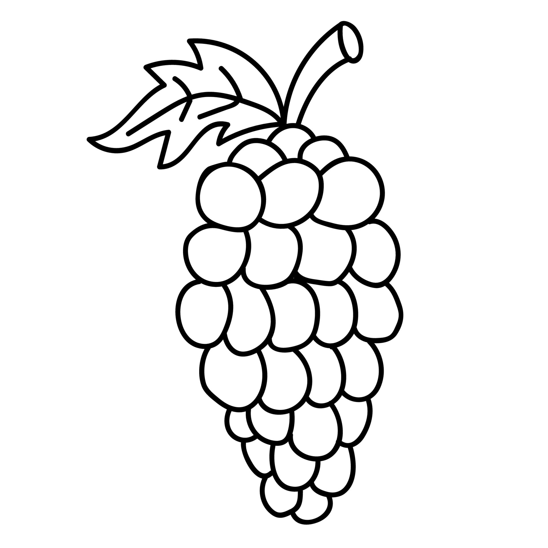 Cartoon doodle linear grapes isolated on white background. 5898400