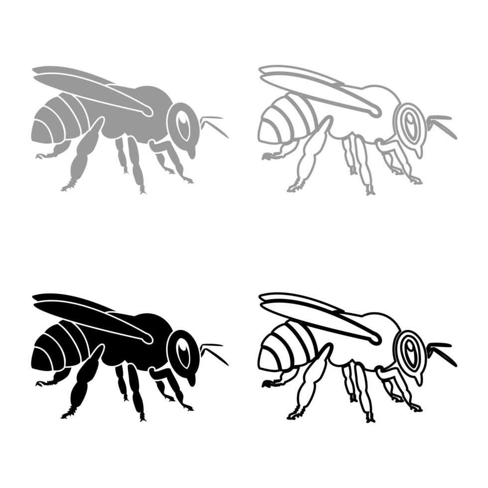 Bee icon set grey black color vector