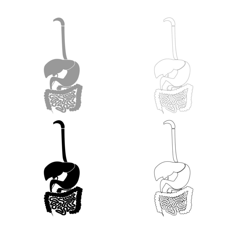 contorno del icono del sistema digestivo establecido en color negro gris vector