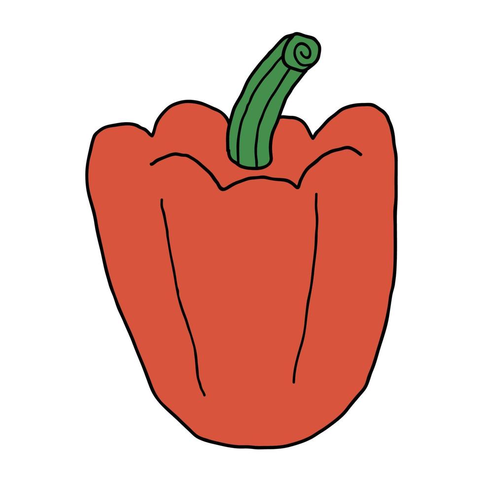 Cartoon doodle linear pepper isolated on white background. vector