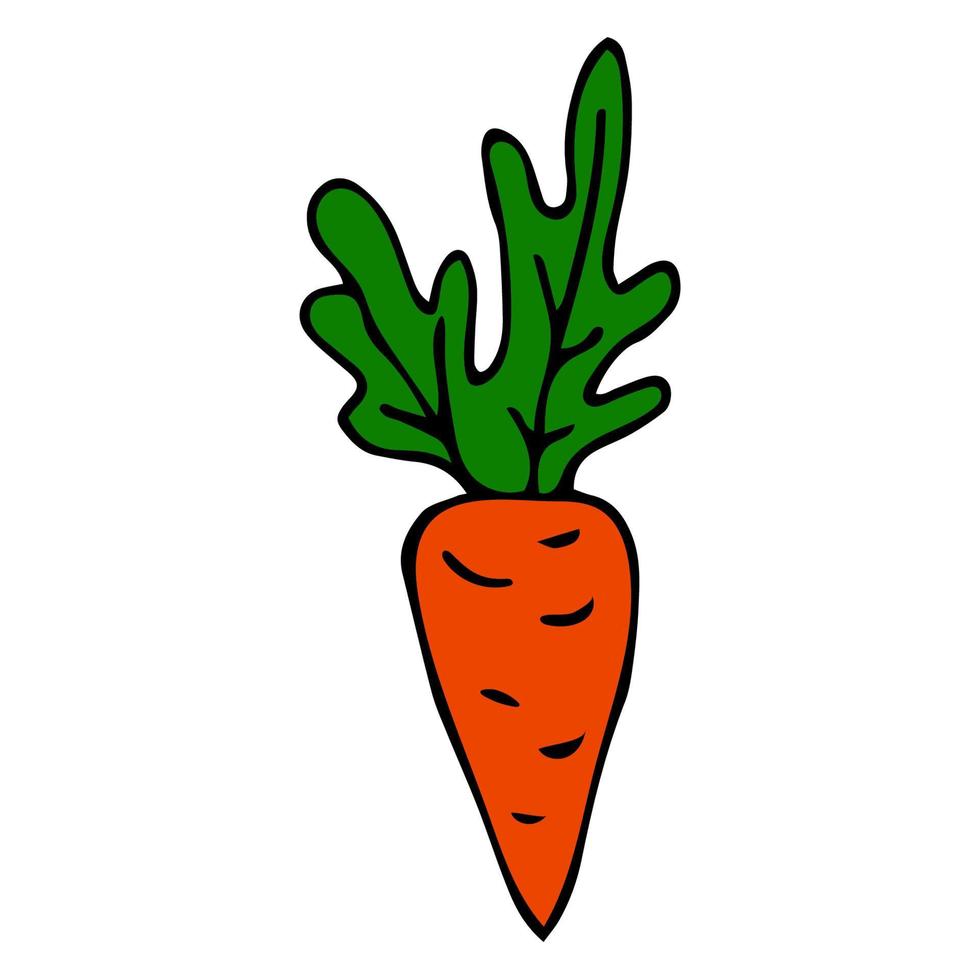 Cartoon doodle linear carrot with leaves isolated on white background. vector