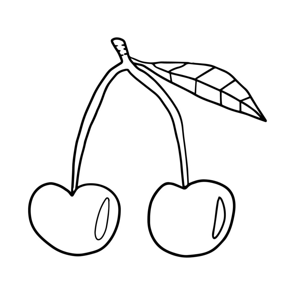 Double red cherry on the twig with leaf isolated on white background