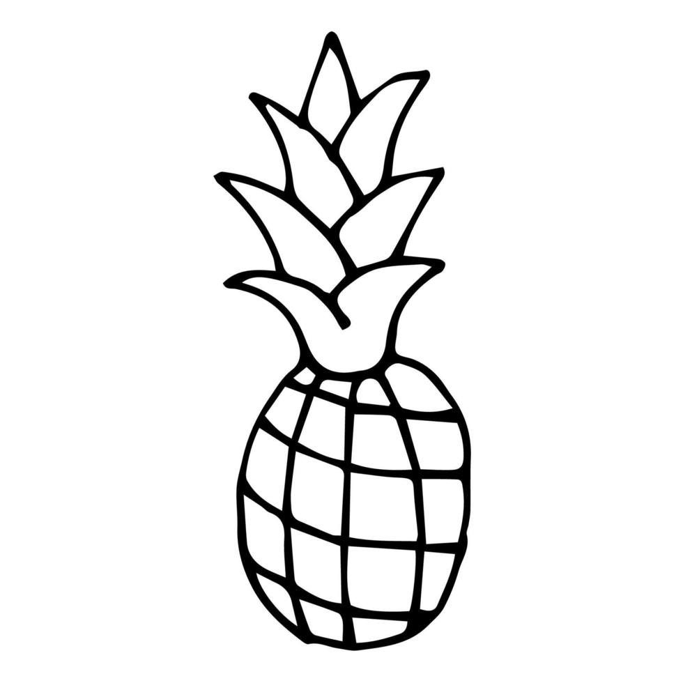 Pineapple isolated on white background. Cartoon pineapple. vector