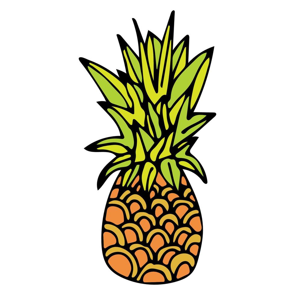 Hand drawn pineapple with black outline isolated on white background. Cartoon pineapple. vector