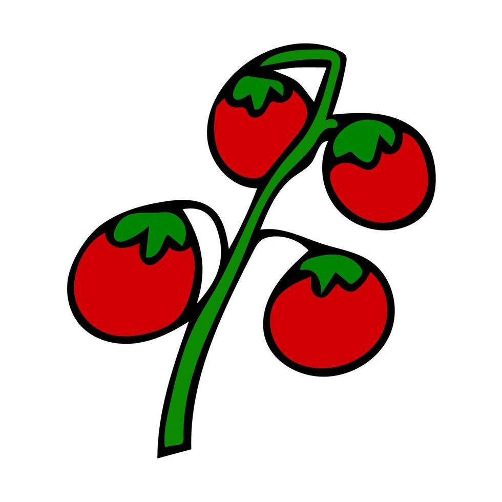 Cartoon doodle linear tomato on a branch isolated on white background. vector