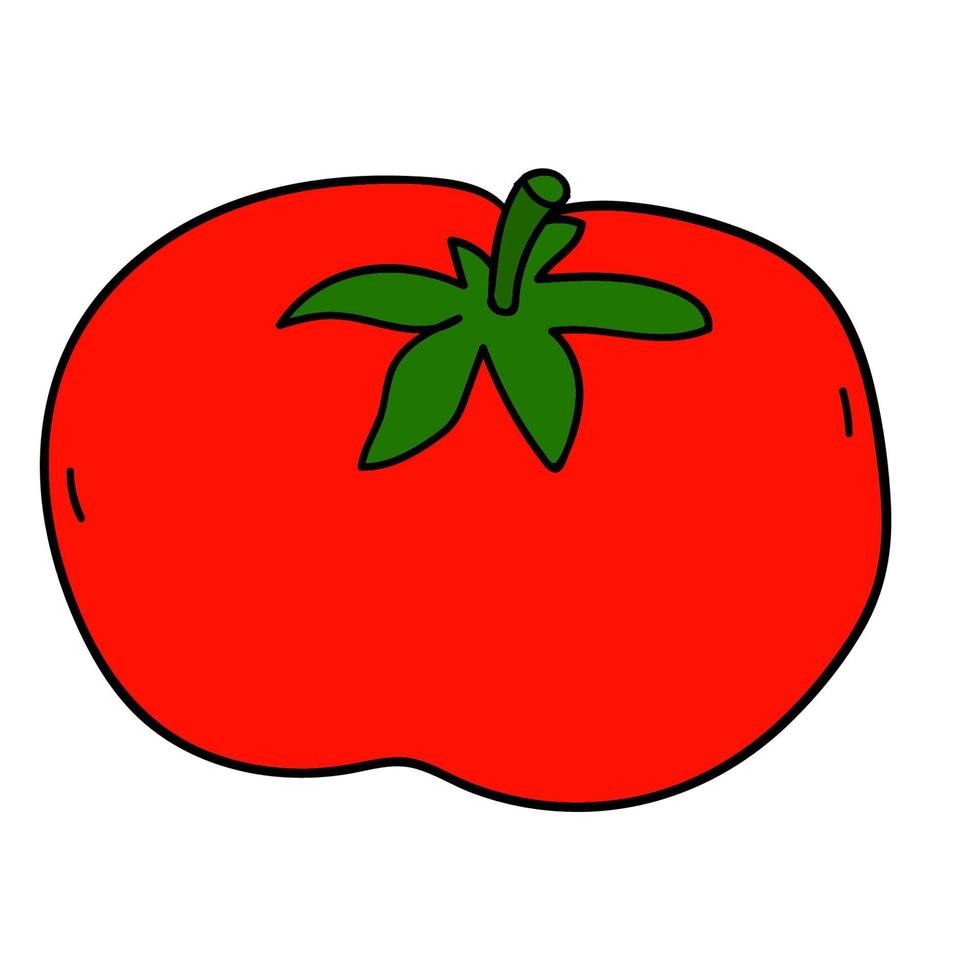 caricatura, garabato, lineal, tomate, aislado, blanco, fondo. vector