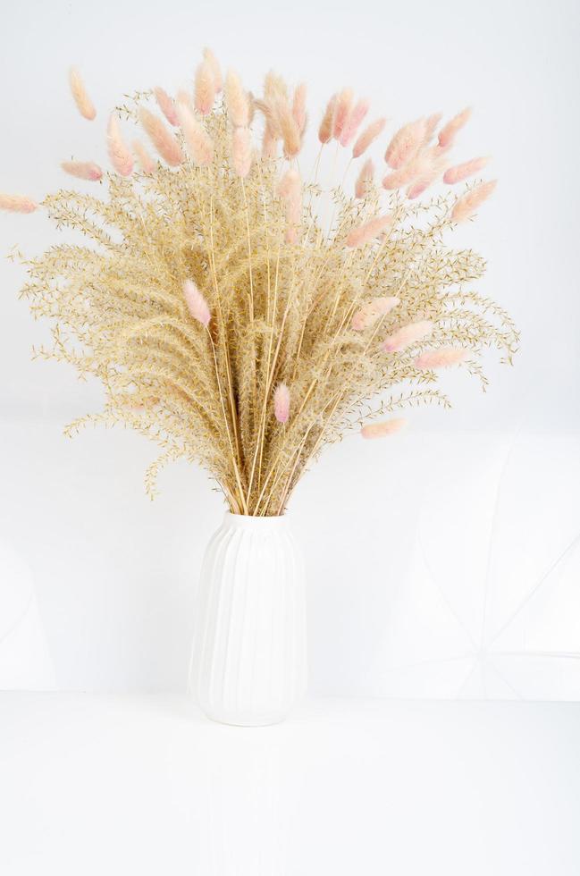 Minimalist white vase with dried up flowers. Studio Photo