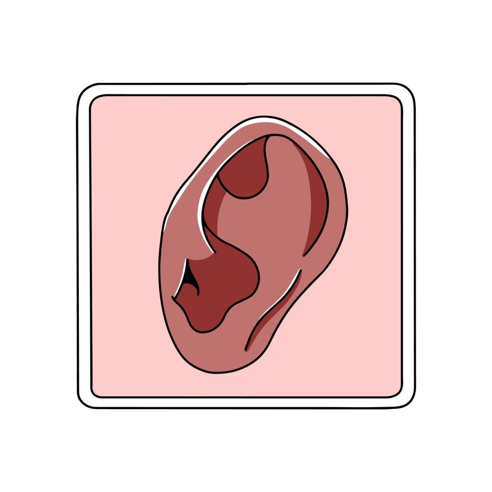 icono de oído humano dibujado a mano aislado sobre fondo blanco. ilustración vectorial vector