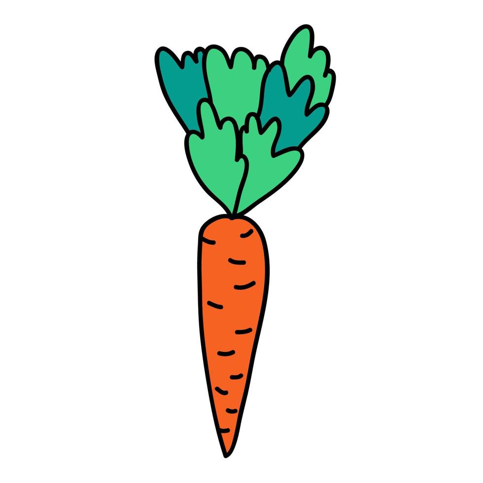 Cartoon doodle linear carrot with leaves isolated on white background. vector